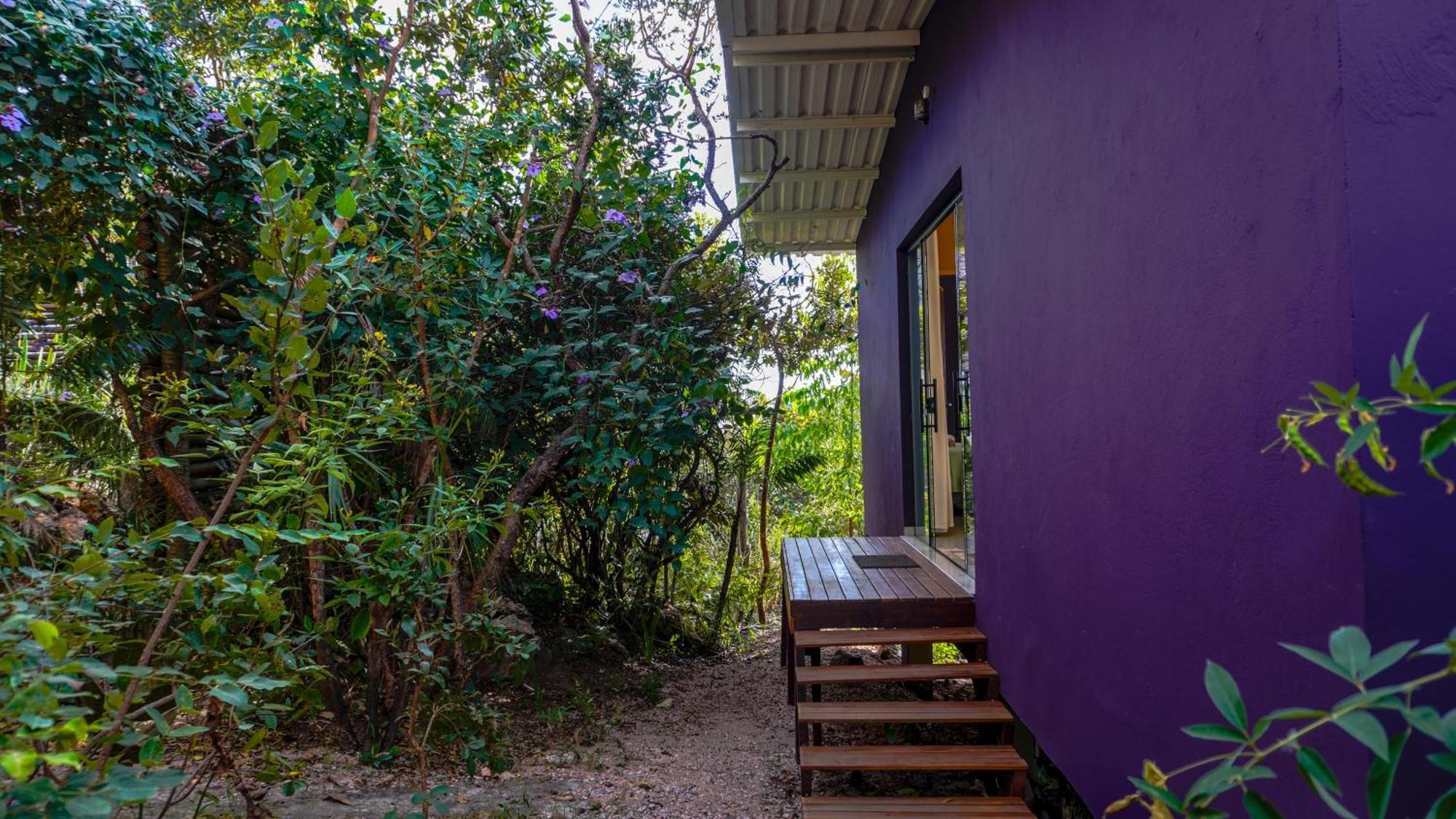 Vila Flor - Chapada Dos Veadeiros Alto Paraíso de Goiás Exterior foto